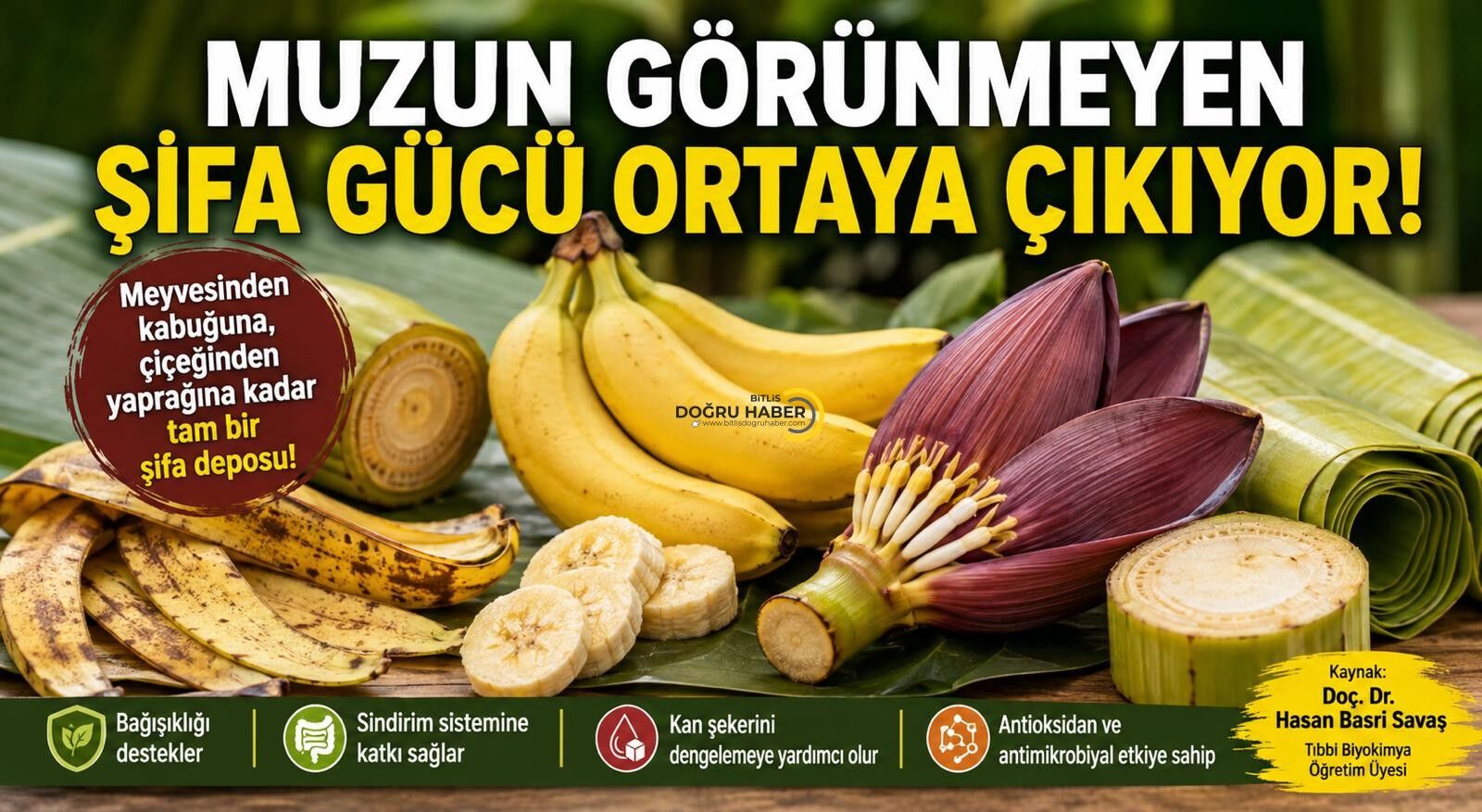 Sağlık