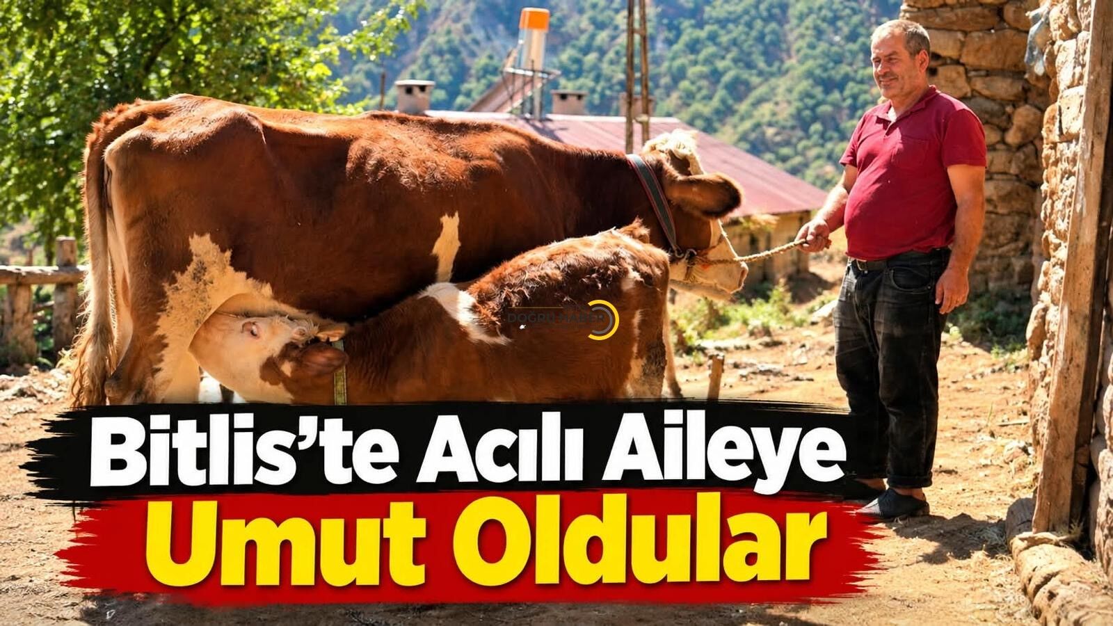Mutki