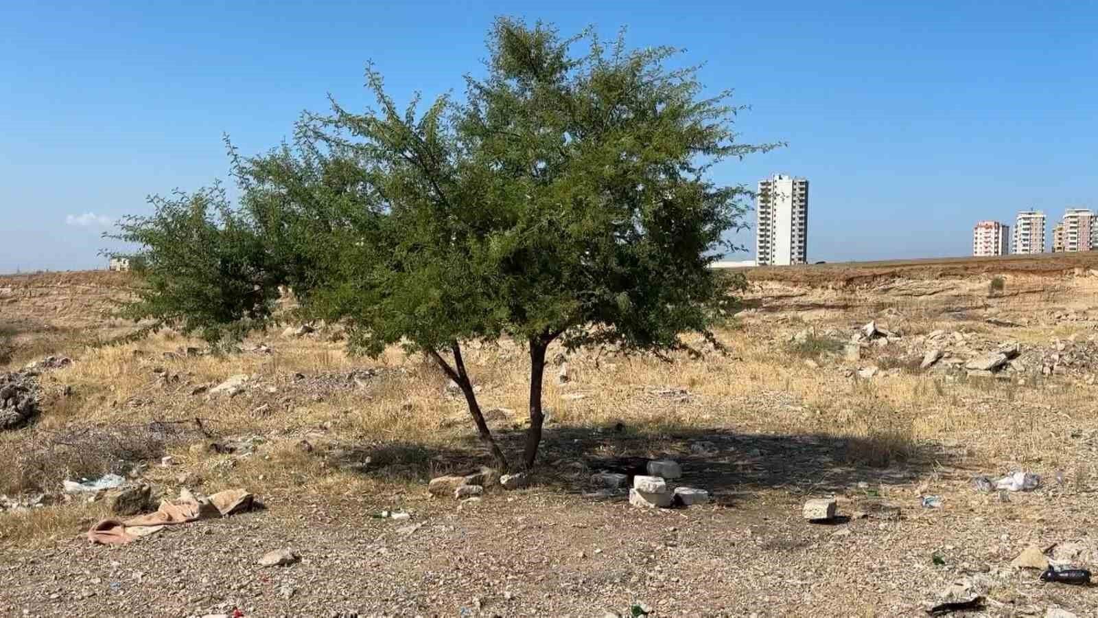 Adana'da 35 Yaşındaki Şahıs Boş Arazide Ölü Bulundu