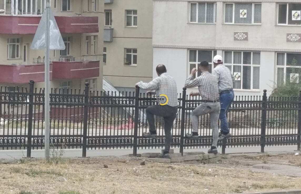 Bitlis