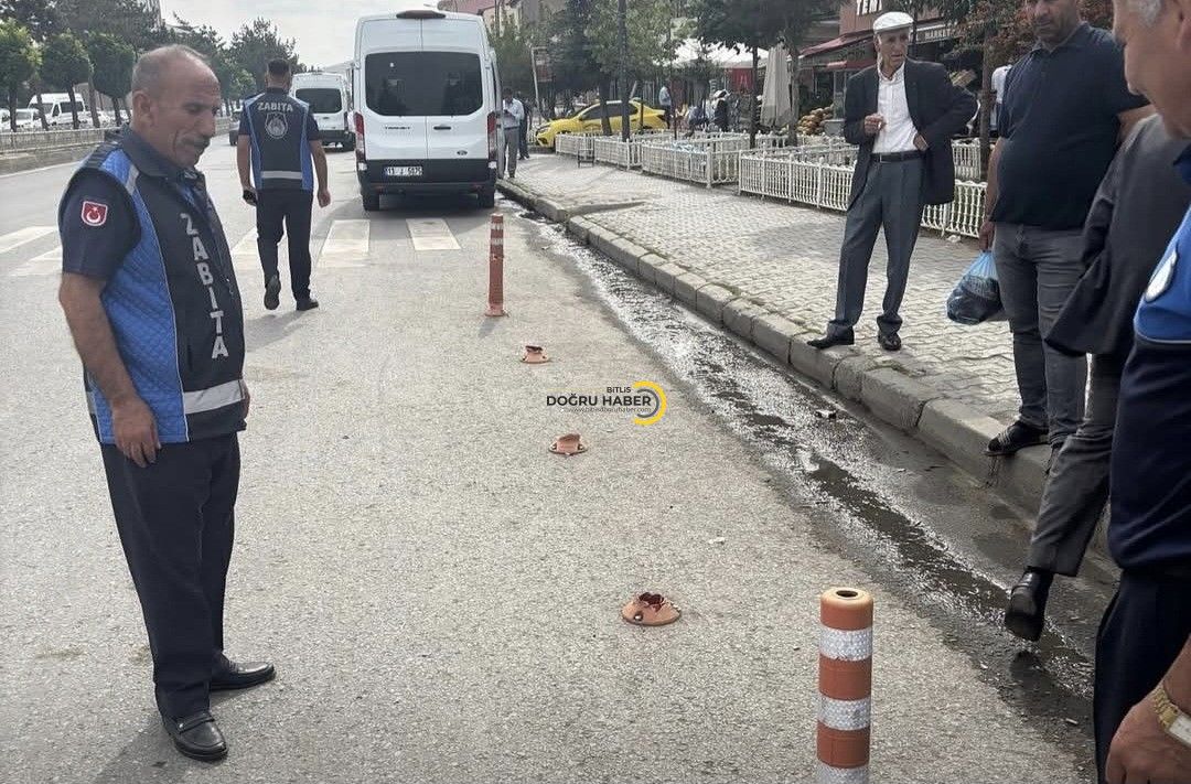 Bitlis Güroymak’ta Dubalara Baltalı Zarar!