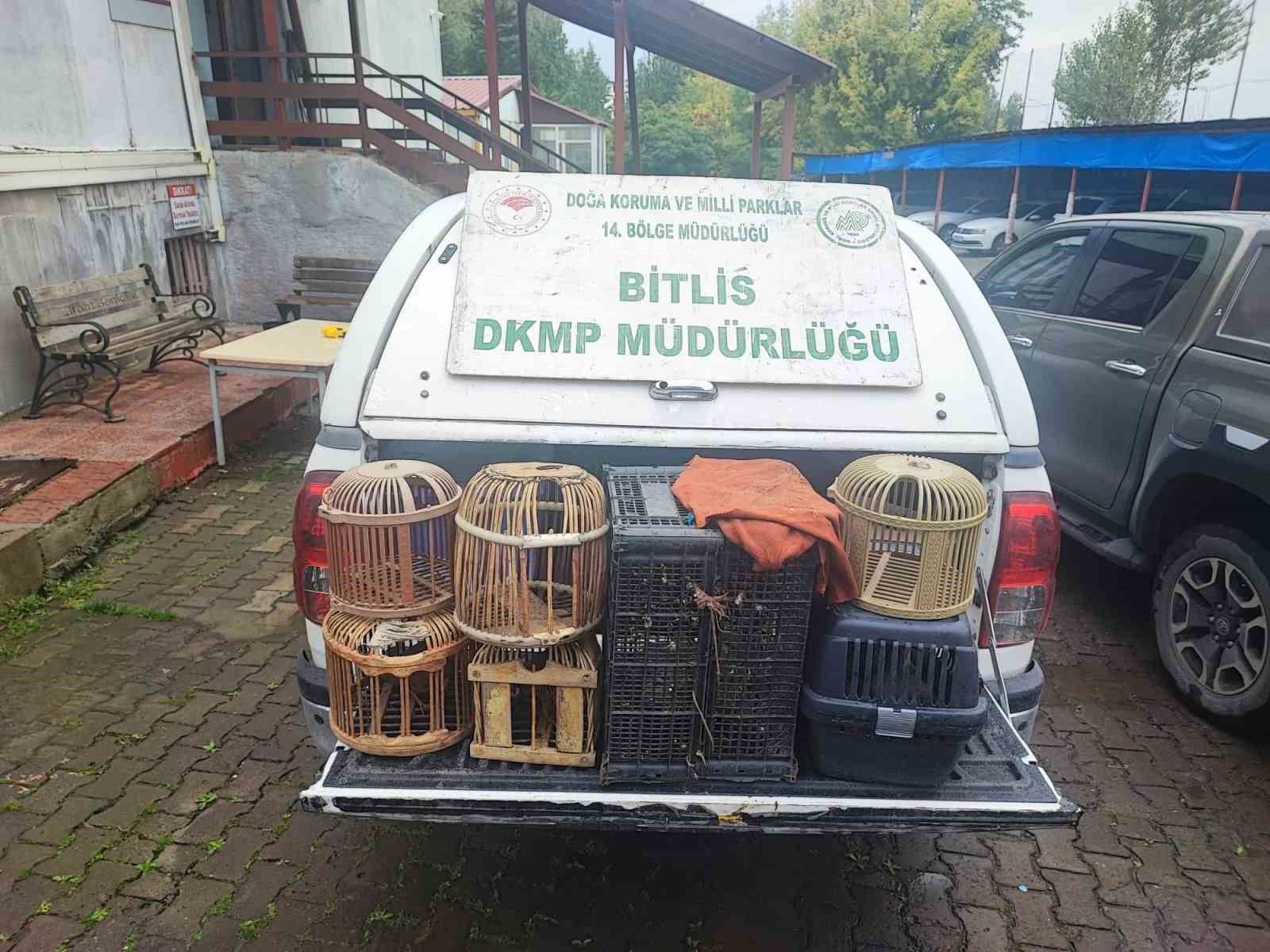 Bitlis’te Kaçak Avlanan Keklikler Kurtarıldı