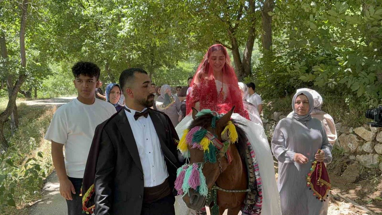 Atlı Gelin Geleneği Bitlis'te Yaşatıldı