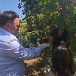 Siirt'te Böğürtlen Hasadıyla Anlamlı Buluşma