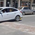 Bitlis'te Bu Kasisler Tepki Çekiyor!