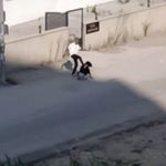 Adana'da Kadını Sokak Ortasında Dövdü, Serbest Kaldı