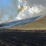 Ahlat’ta 400 Dönüm Tarla Kül Oldu