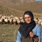Tunceli’de Çobanlık Yapan Kadının Girişimcilik Hayali