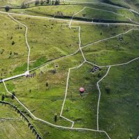 Bitlis
