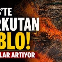 Bitlis