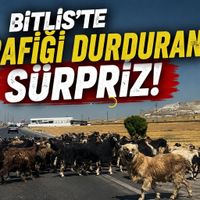 Bitlis