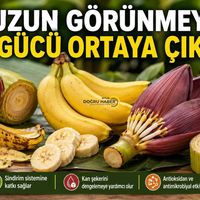 Sağlık