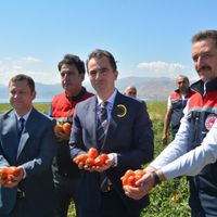 Bitlis