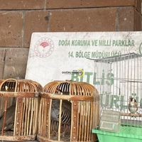 Ahlat