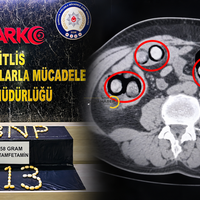 Bitlis