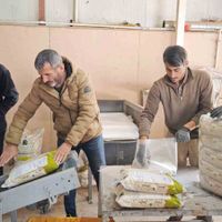 Bitlis