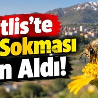 Bitlis