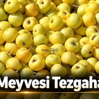 Bitlis