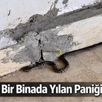 Bitlis