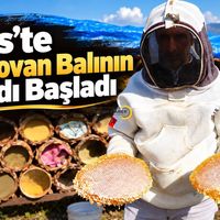 Bitlis