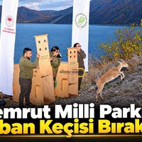Bitlis