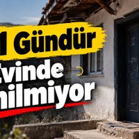 Spor