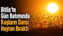 Bitlis'te gün batımında nefes kesen kuş dansı