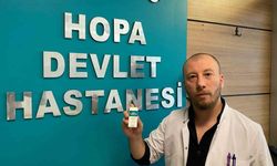 Artvin Hopa'da Yılanlar Korku Salıyor