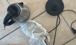 Elektrik Akımına Kapılan Kadın kurtarılamadı