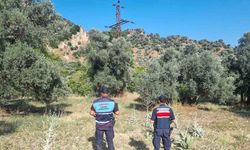 Ormanlık alanda mangal yakan 2 kişi yakalandı