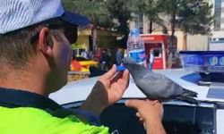 Trafik Polisinin Merhameti Kamerada