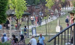 Bitlis’te havaların ısınması ve bayram tatili piknikçilere yaradı