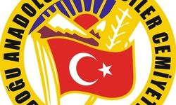 DAGC: "Türk Basını sorumluluğunu yerine getirdi"