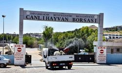 Hayvan Pazarları İlaçlanıp Dezenfekte Ediliyor