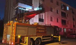Pencereye sıkışan kuş için itfaiye seferber oldu