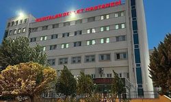 Siirt’te akrebin soktuğu genç hastaneye kaldırıldı