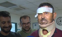 Sivrisinekten Kaçarken Ayı İle Kavga Etmişti, Taburcu Oldu