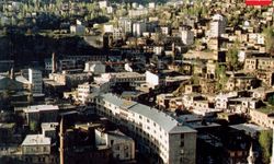 Bitlis'te kaç kişi göç etti? Rakamlarla açıklandı
