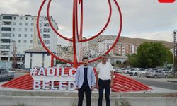 Adilcevaz’da Gece Estetiği Yenileniyor: Başkan Akbaba’dan Aydınlatma Atağı