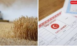 Ekim Yapılmayan Tarım Arazileri Kiraya Verilecek