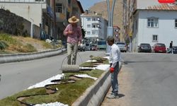 Adilcevaz’da Peyzaj Çalışmaları Devam Ediyor