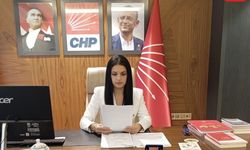 CHP Bitlis İl Kadın Kolları’ndan Kadın Cinayetlerine Tepki: “Kadın Cinayetleri Politiktir!”