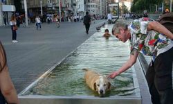 Taksim’de sıcak havadan bunalan çocuk ve köpek süs havuzunda serinledi