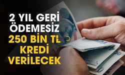 2 yıl geri ödemesiz 250 bin TL kredi paketi açıklandı
