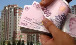 Bitlis'te kira getirisi en yüksek ilçeler belli oldu!