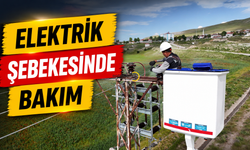 VEDAŞ Elektrik Şebekesinde Bakım ve Onarım Çalışmalarını Sürdürüyor