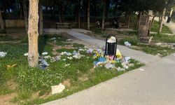 Mevlana Parkı’ndaki Görüntüler Tepki Çekti: Duyarsızlık Bu Kadarına da Pes Dedirtti!