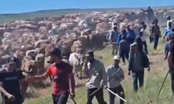 Arazi Anlaşmazlığı Silahlı Kavgaya Dönüştü