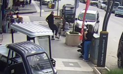 Burdur'da Köpeğe Saldıran Kediye Tekme Kamerada