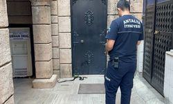 Camide Yılan Paniği